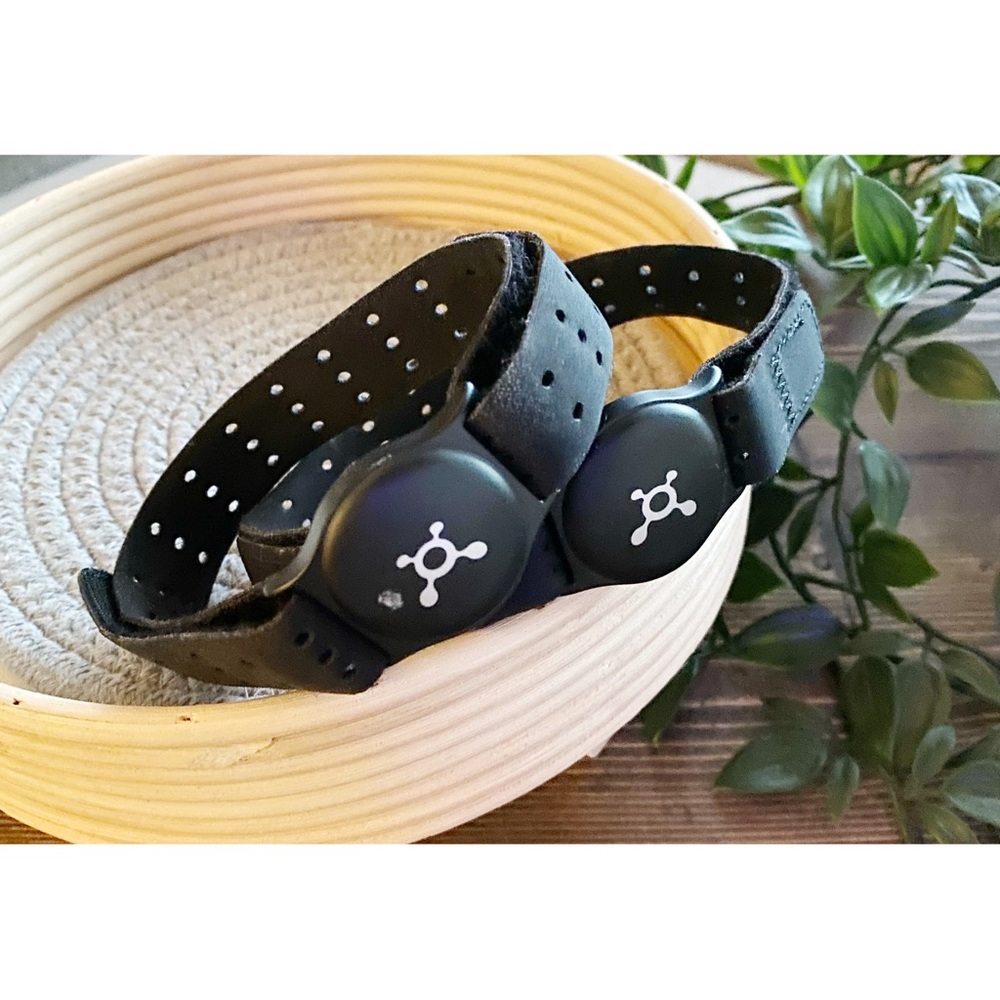 Orange Theory Fitness OTF Bands Bundle